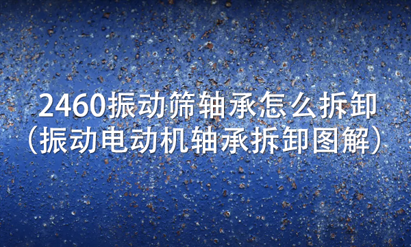 2460振動篩軸承怎么拆卸(振動電動機軸承拆卸圖解)