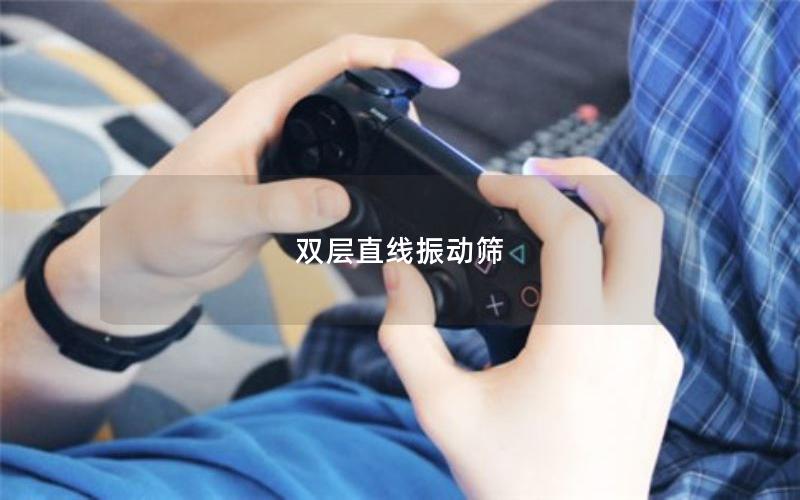 雙層直線振動(dòng)篩 雙層直線振動(dòng)篩