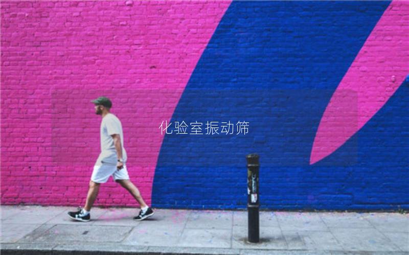 化驗(yàn)室振動(dòng)篩