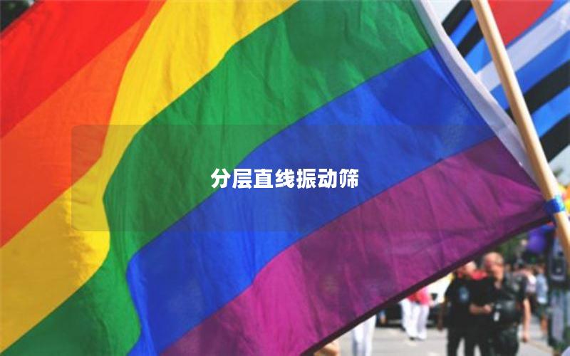 分層直線振動(dòng)篩 分層直線振動(dòng)篩