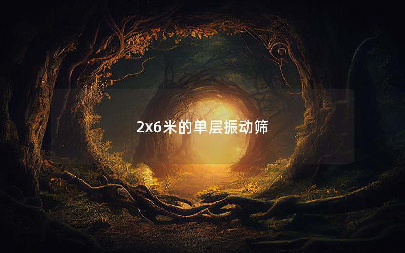 2x6米的單層振動(dòng)篩