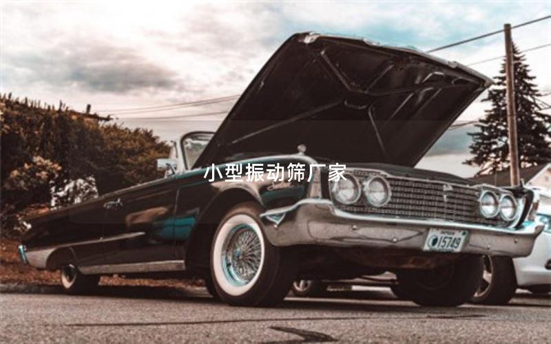 小型振動篩廠家