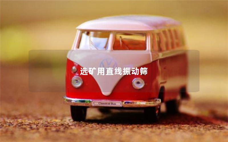 選礦用直線振動篩