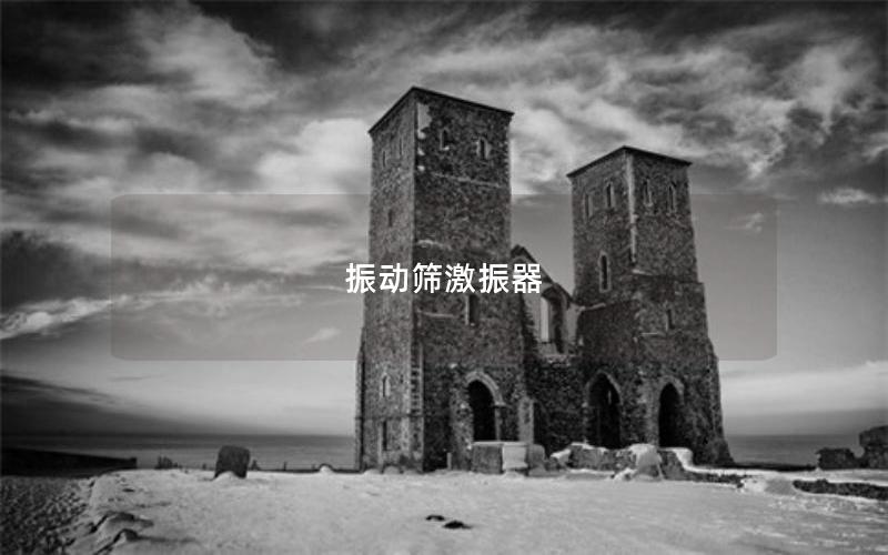 振動篩激振器 振動篩激振器